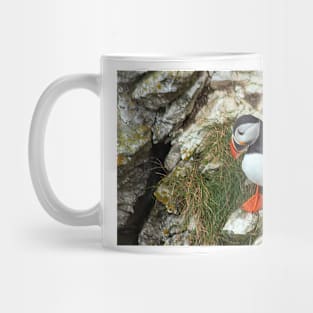 Puffin on a cliff edge Mug